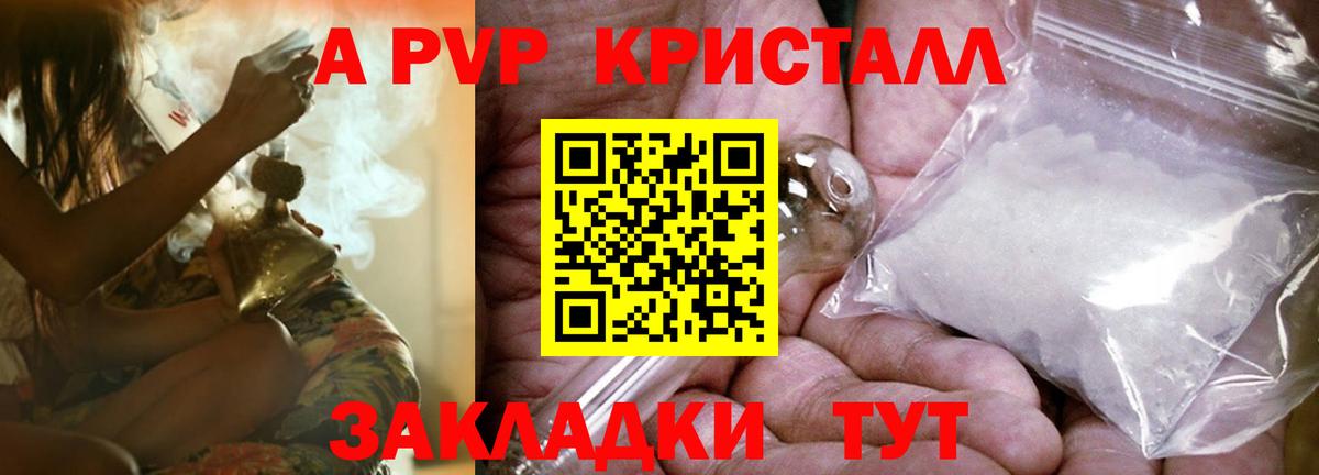 Рубцовск  Альфа ПВП СК КРИС  Вход с VPN  хочу   А ПВП крисы CK 