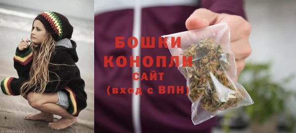 PSILOCYBIN Богородицк