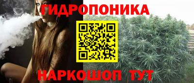 стаф Гусев