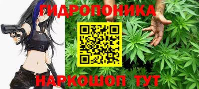 PSILOCYBIN Гусиноозёрск