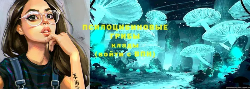 Псилоцибиновые грибы Magic Shrooms  Рубцовск 