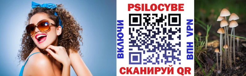 Псилоцибиновые грибы GOLDEN TEACHER  хочу наркоту  Рубцовск 