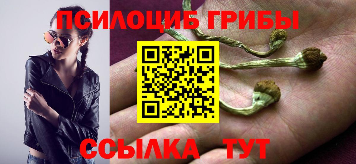 Рубцовск  Псилоцибиновые грибы мицелий  Вход с VPN 