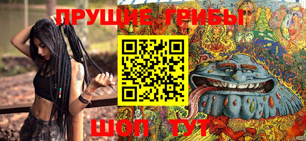 Псилоцибиновые грибы мицелий  Псилоцибиновые грибы прущие грибы  Рубцовск 